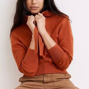 Madewell Clairview Hoodie Sweater in burnt orange
